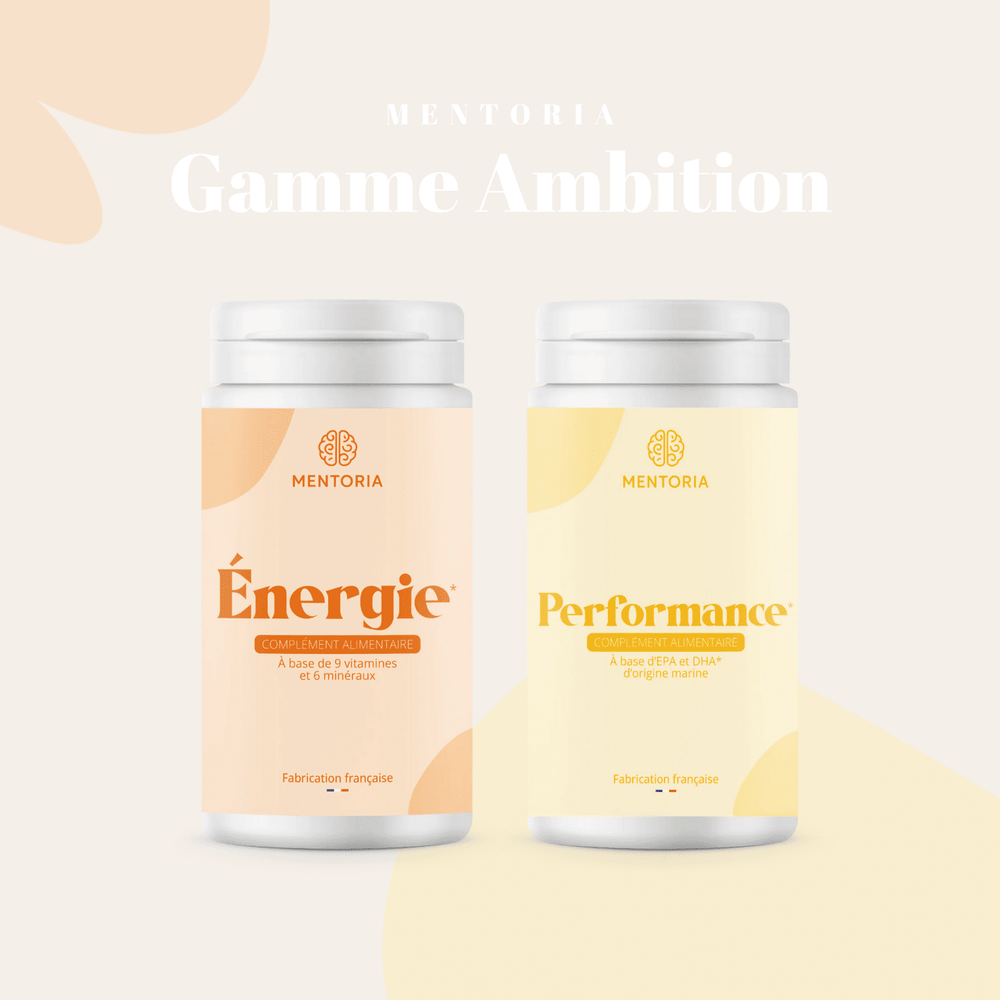 Gamme Ambition